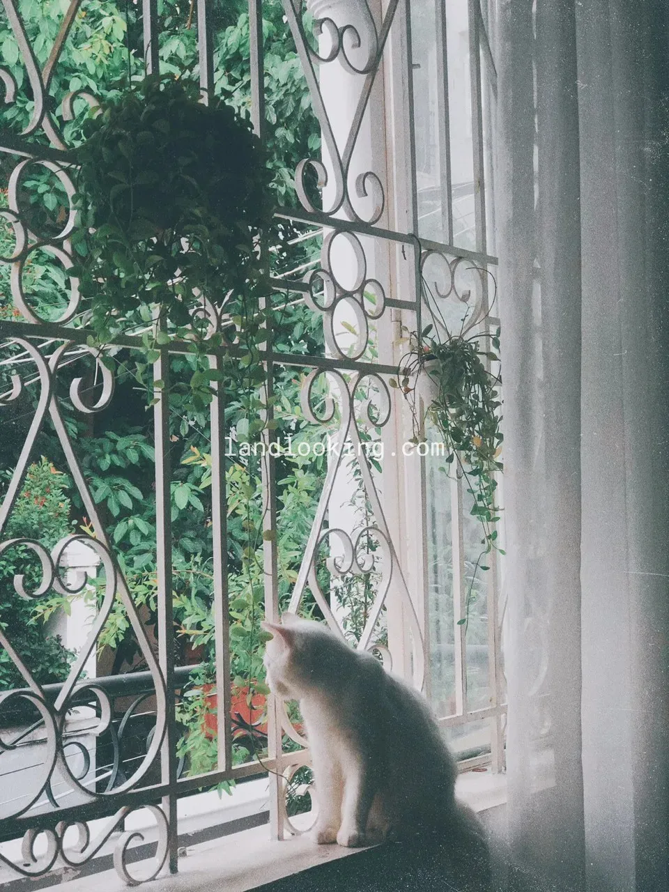 69/6 - Vạn Kiếp, Phường 03, Quận Bình Thạnh - ảnh 3