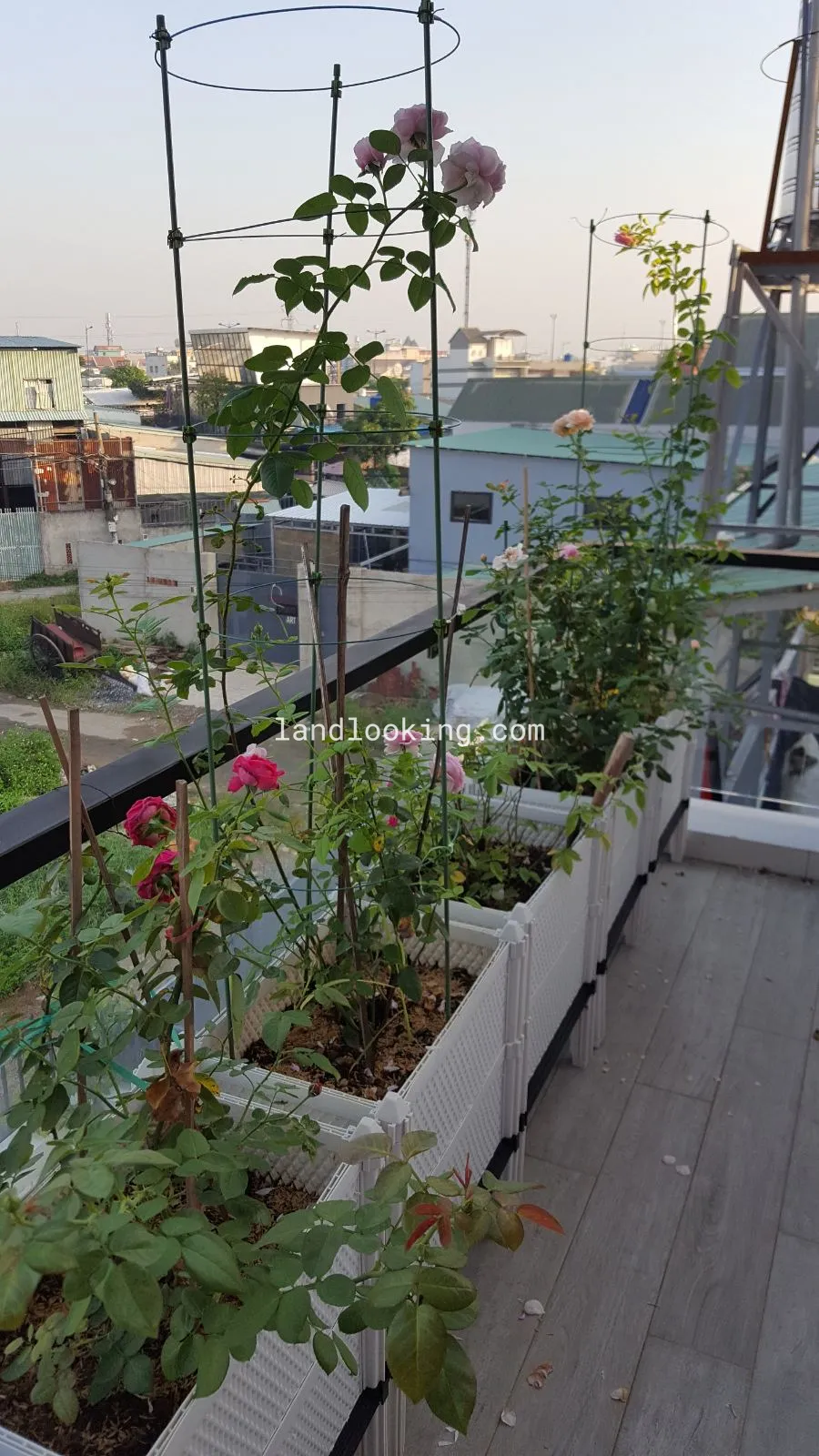 5/2/18 - Đường Số 27, Phường Hiệp Bình Chánh, Quận Thủ Đức - ảnh 8