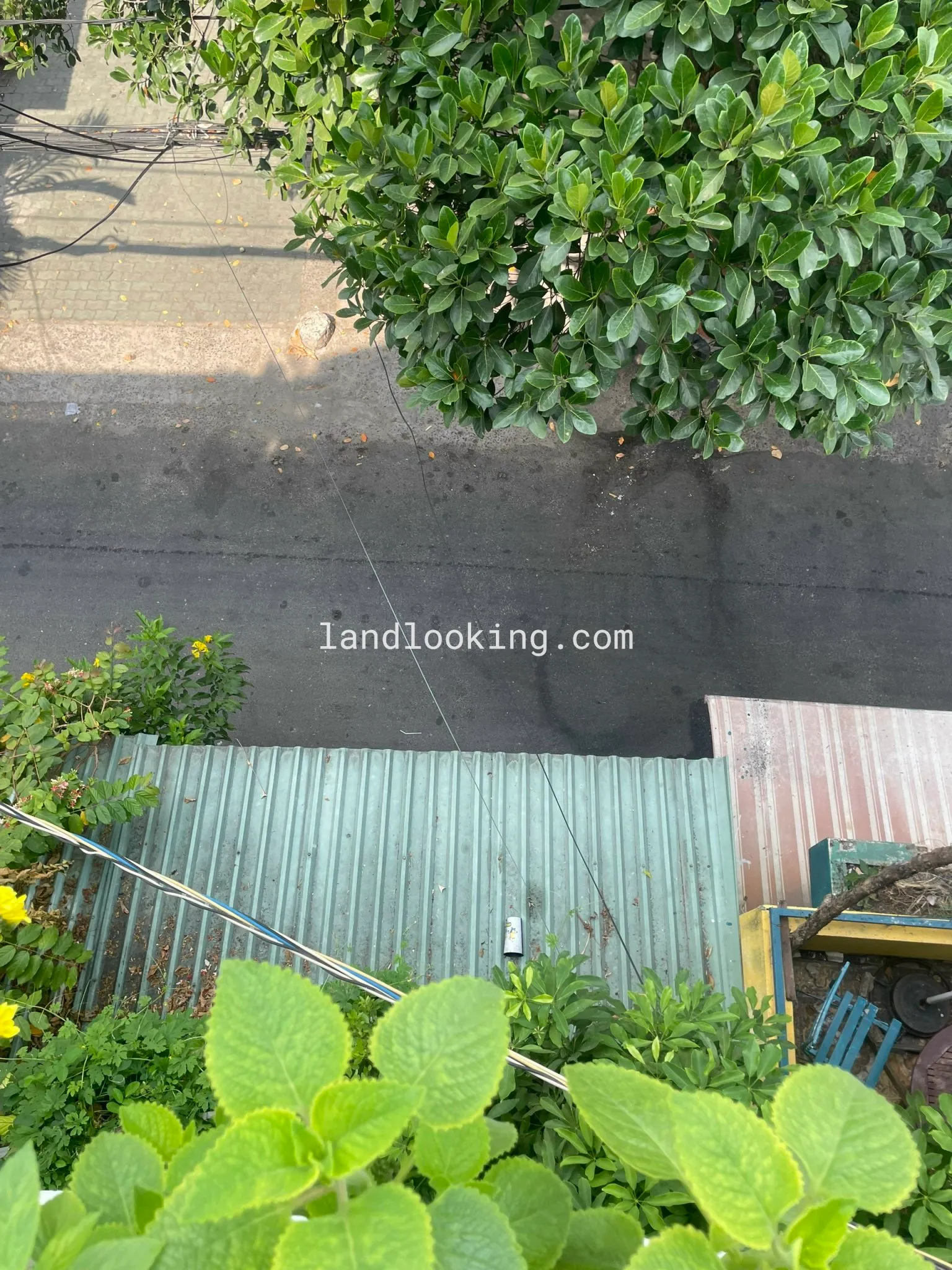 42/62 - Hoàng Hoa Thám, Phường 07, Quận Bình Thạnh - ảnh 3