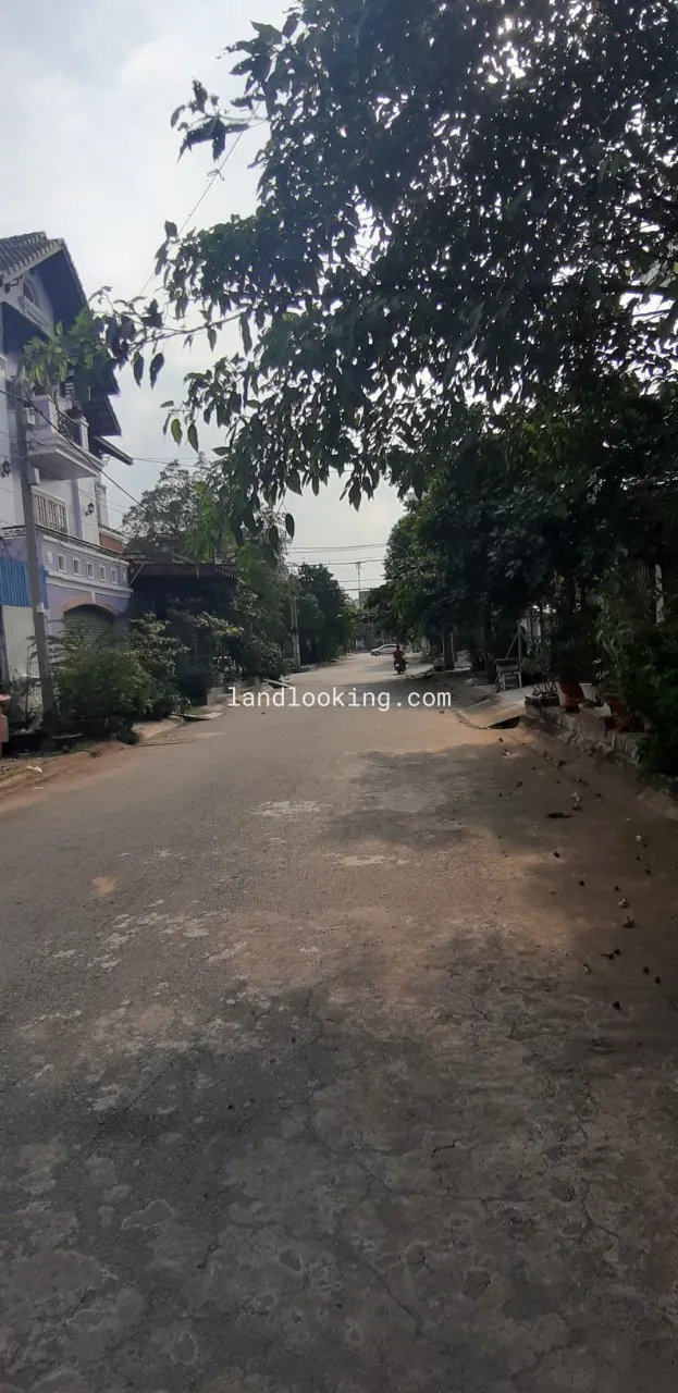 28 - Đường Số 12, Phường Hiệp Bình Chánh, Quận Thủ Đức - ảnh 2