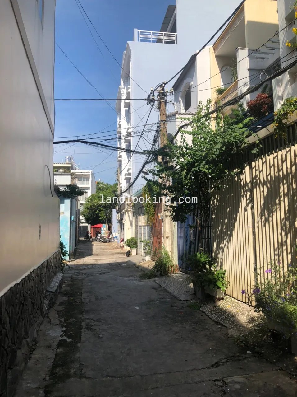 - Nguyễn Văn Đậu, Phường 11, Quận Bình Thạnh - ảnh 0