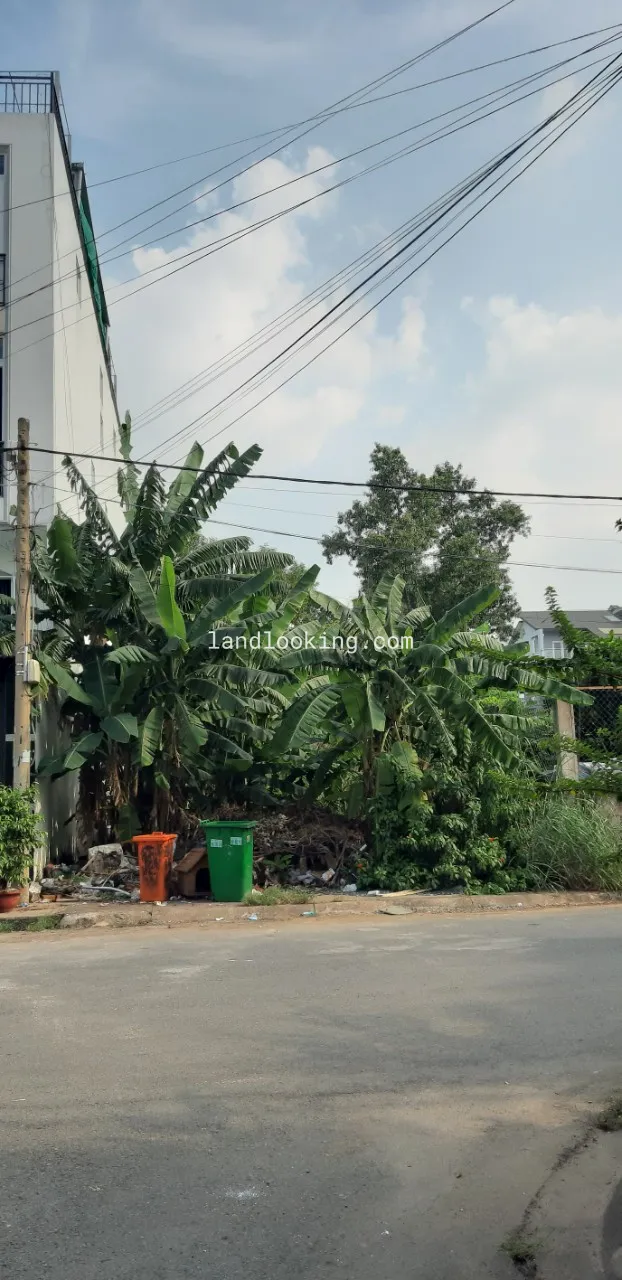 28 - Đường Số 12, Phường Hiệp Bình Chánh, Quận Thủ Đức - ảnh 4