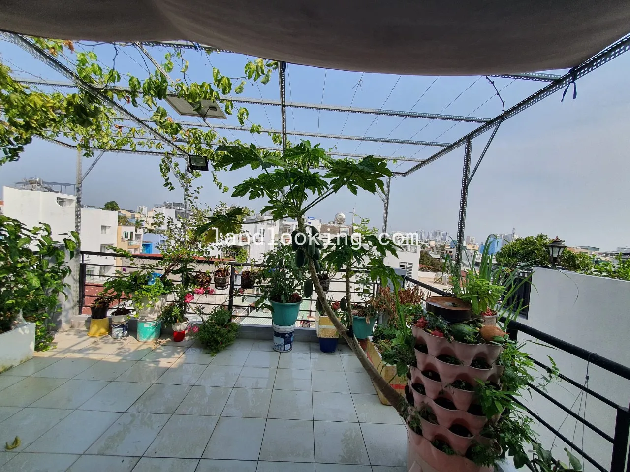 146/10/8 - Vũ Tùng, Phường 02, Quận Bình Thạnh - ảnh 1