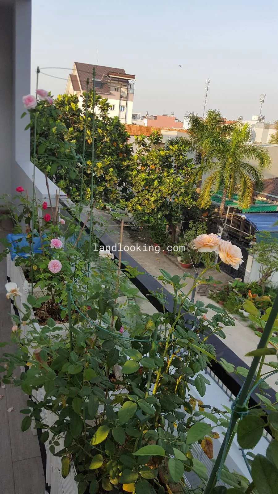 5/2/18 - Đường Số 27, Phường Hiệp Bình Chánh, Quận Thủ Đức - ảnh 4