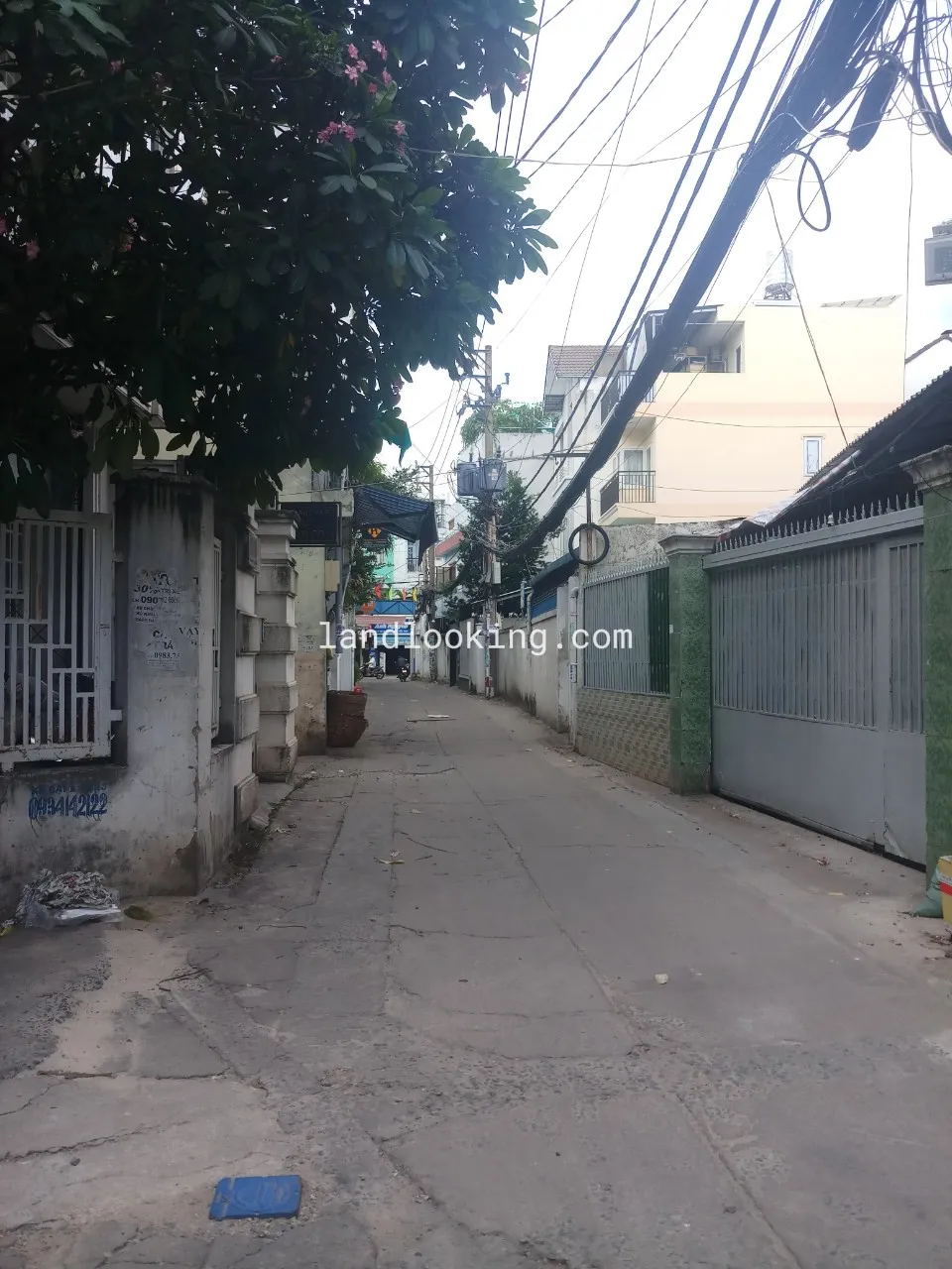 99/14H - Hoàng Hoa Thám, Phường 11, Quận Bình Thạnh - ảnh 0