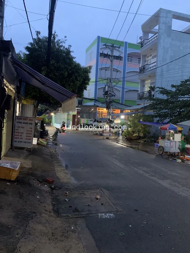 13 - Đường Số 12, Phường Hiệp Bình Chánh, Quận Thủ Đức - ảnh 3