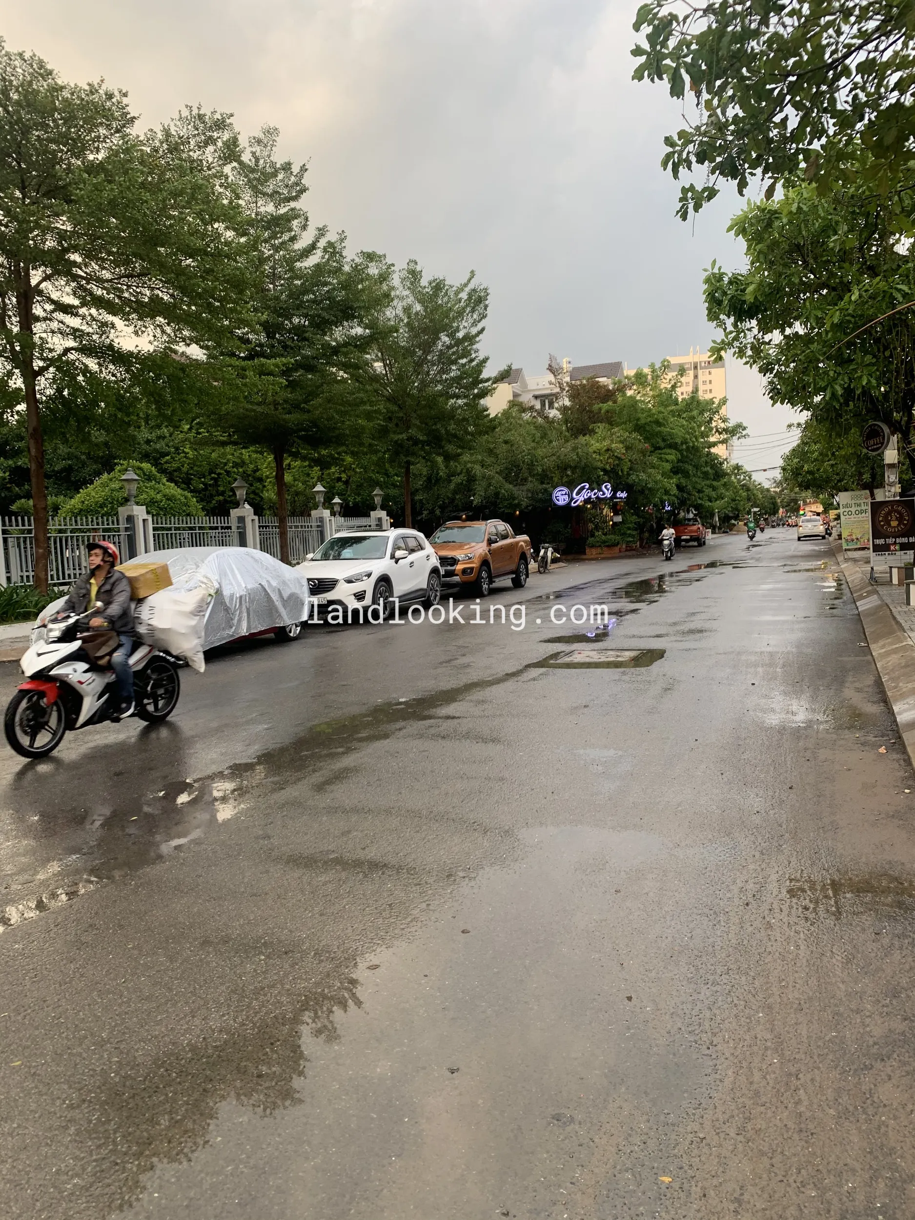 81 - Đường số 51, Phường 14, Quận Gò Vấp - ảnh 7