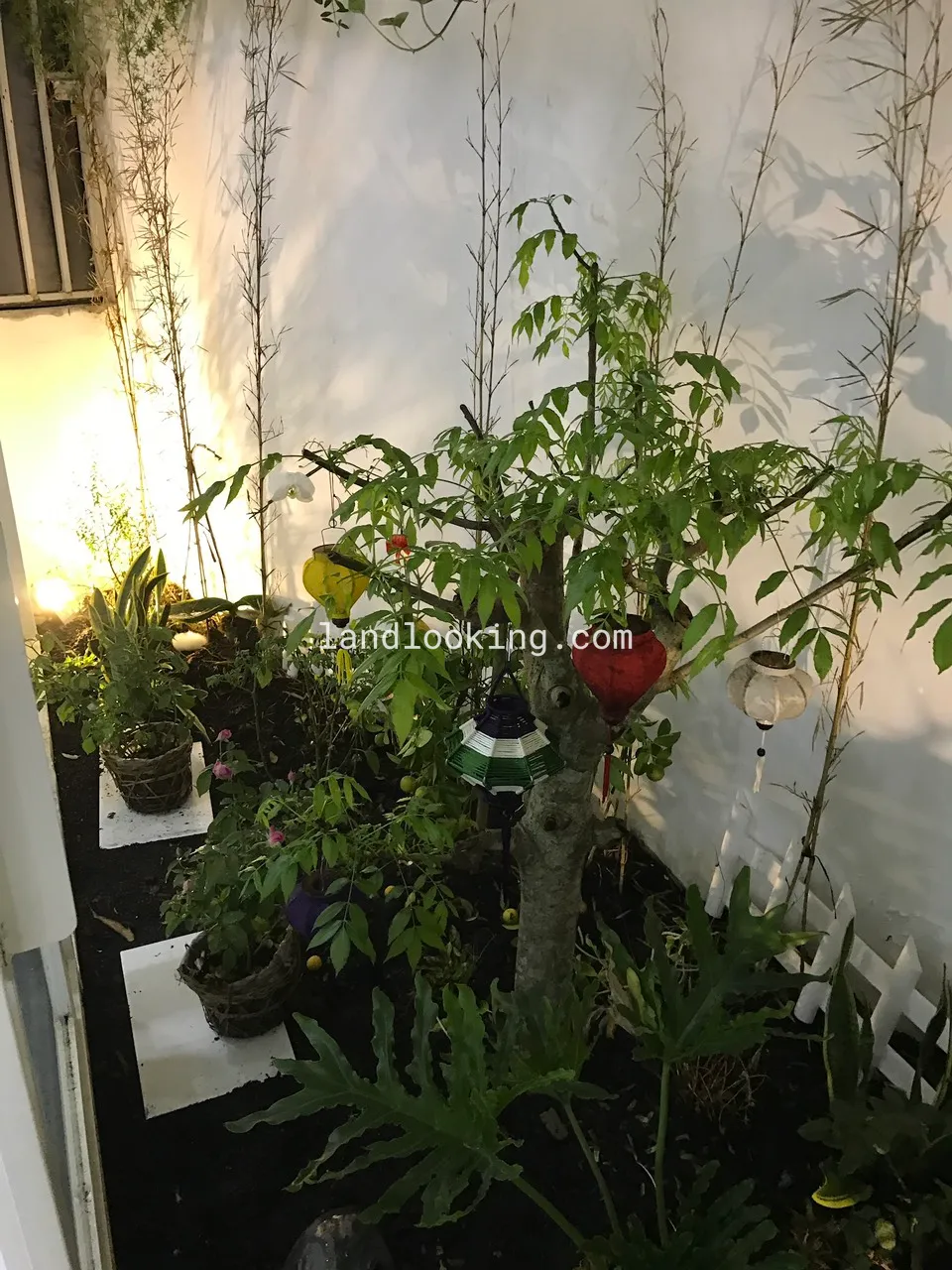 117/26 - Điện Biên Phủ, Phường 15, Quận Bình Thạnh - ảnh 5