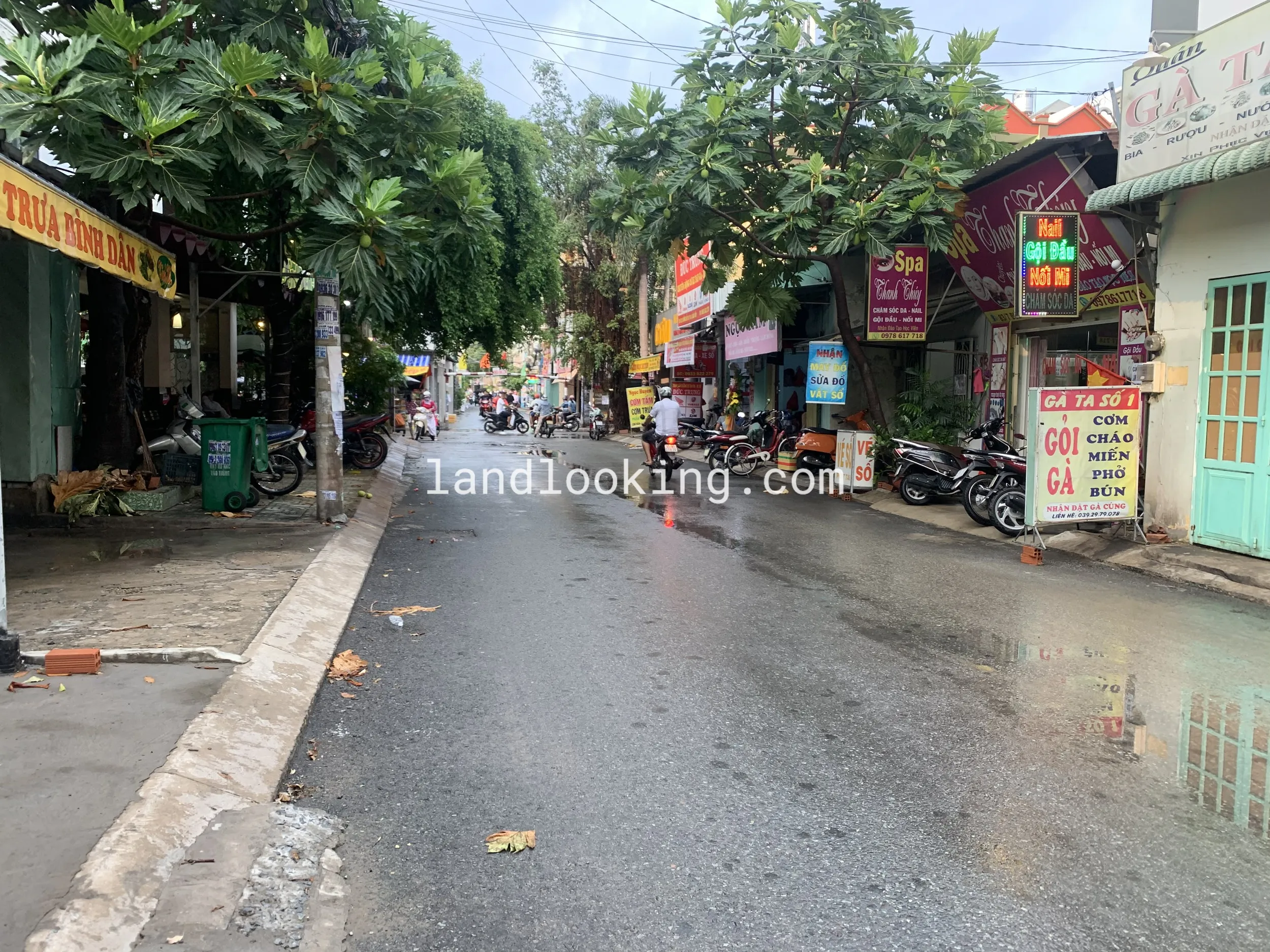 81 - Đường số 51, Phường 14, Quận Gò Vấp - ảnh 6