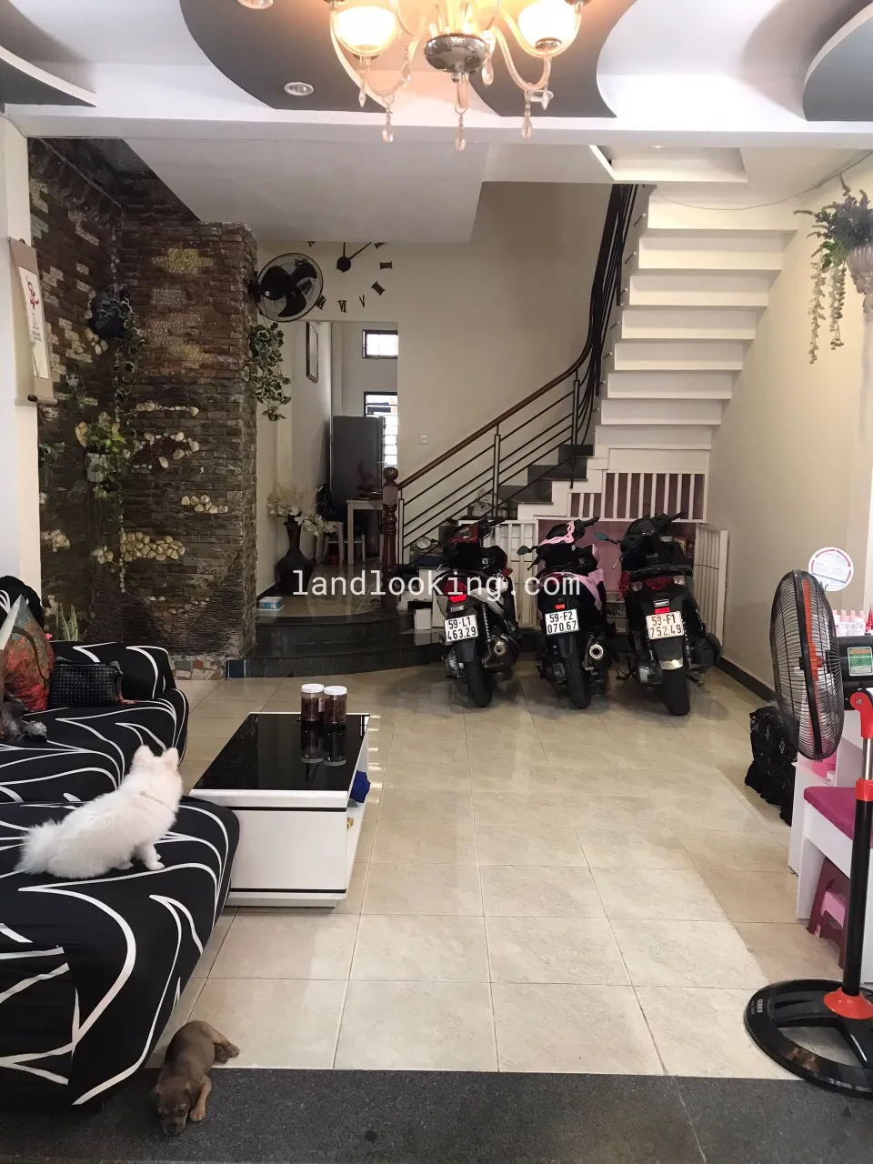 486/11/17 - Phan Xích Long, Phường 03, Quận Bình Thạnh - ảnh 2