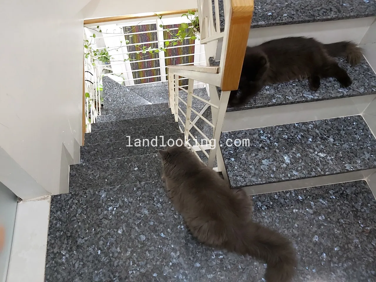 73 - Cao Thắng, Phường 17, Quận Phú Nhuận - ảnh 3