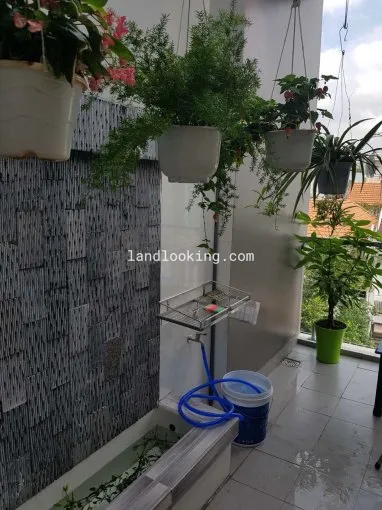 118/53A10 - Bạch Đằng, Phường 24, Quận Bình Thạnh - ảnh 1