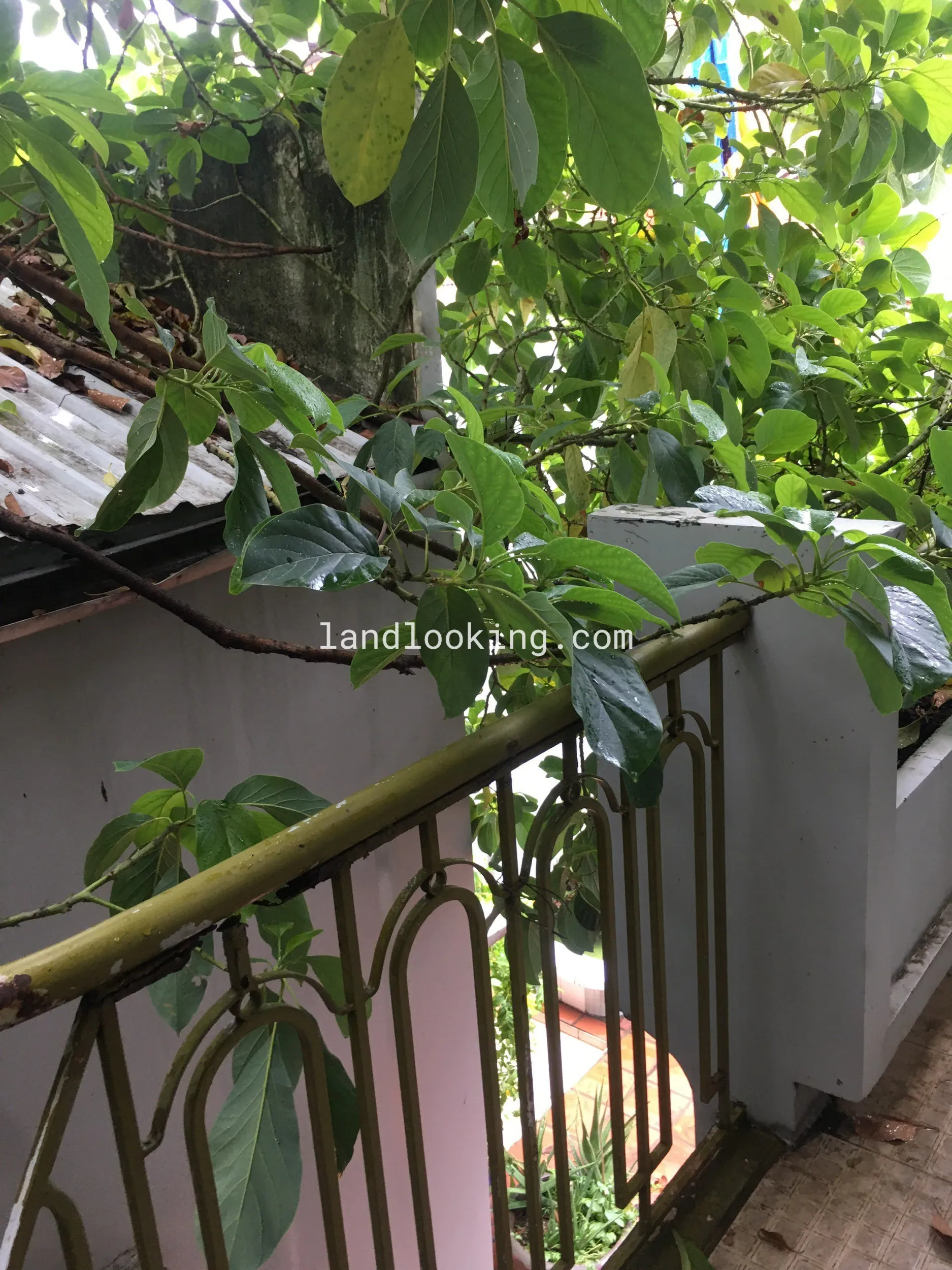 419/13 - Chu Văn An, Phường 12, Quận Bình Thạnh - ảnh 0