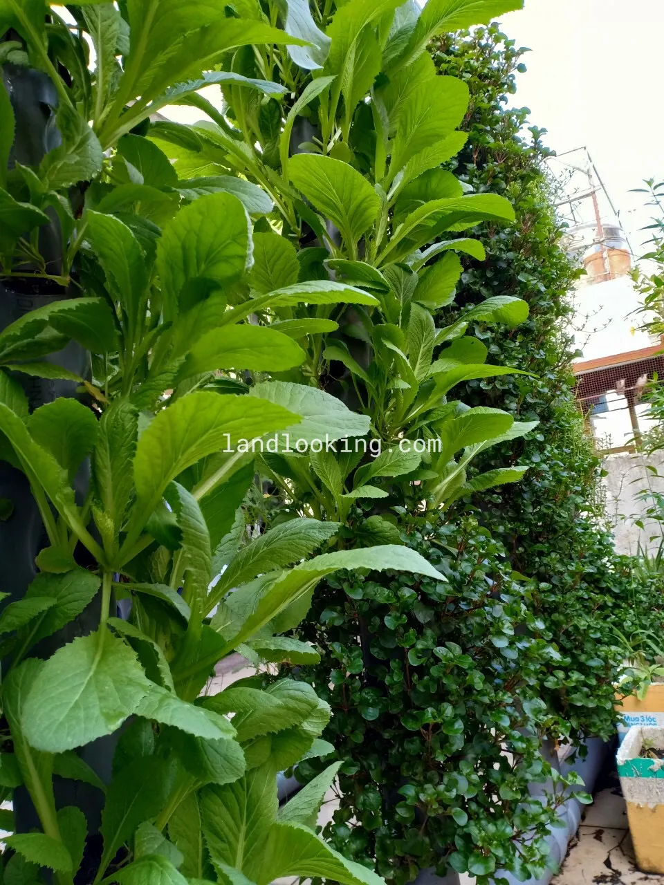 178/4/1C - Phan Đăng Lưu, Phường 03, Quận Phú Nhuận - ảnh 3