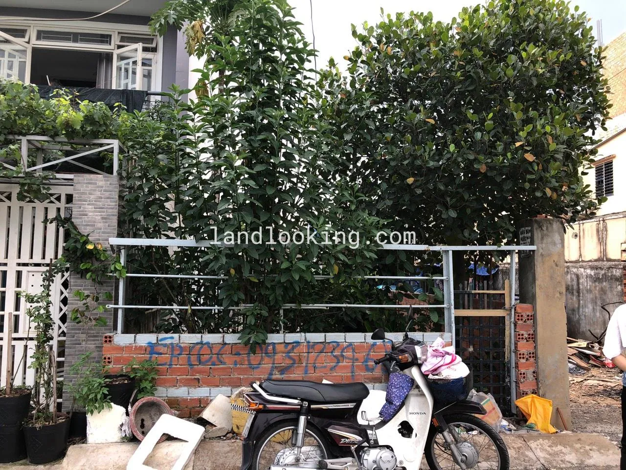 801/38A - Quốc Lộ 13, Phường Hiệp Bình Phước, Quận Thủ Đức - ảnh 2