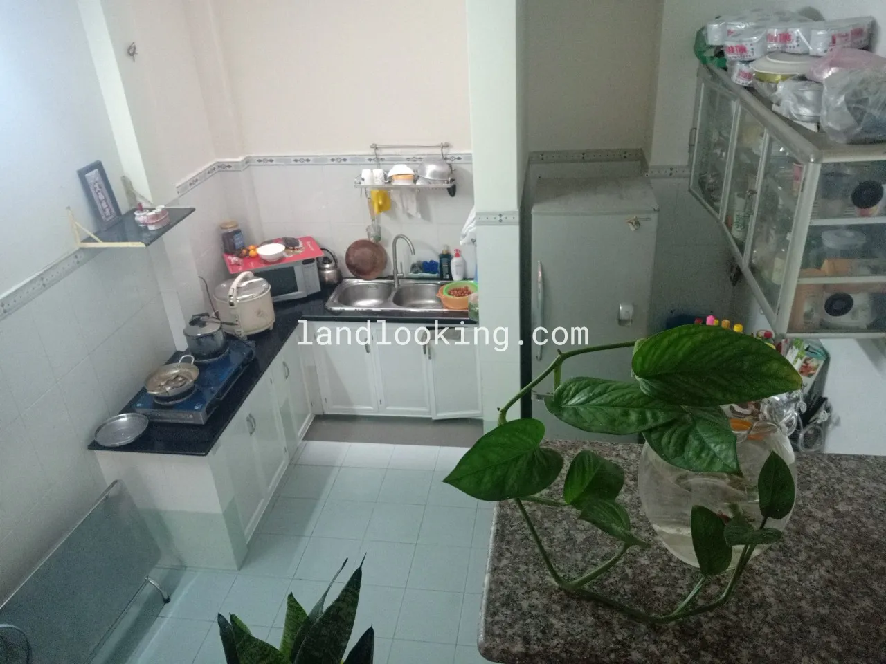 247/65B - Hoàng Hoa Thám, Phường 05, Quận Phú Nhuận - ảnh 2