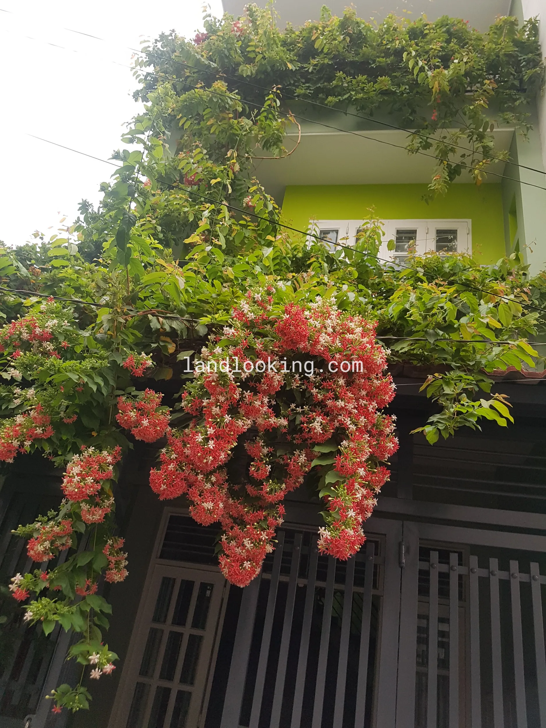 40/13 - Đường Số 30, Phường 06, Quận Gò Vấp - ảnh 1