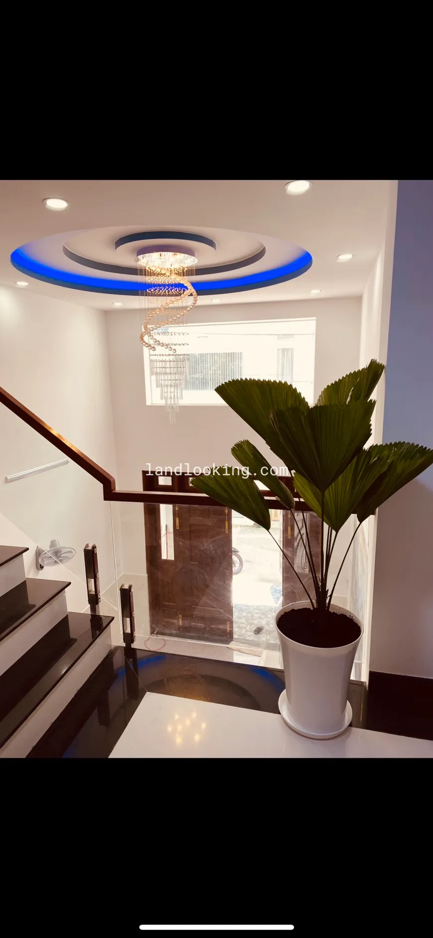 81/17/12 - Đường Số 59, Phường 14, Quận Gò Vấp - ảnh 5