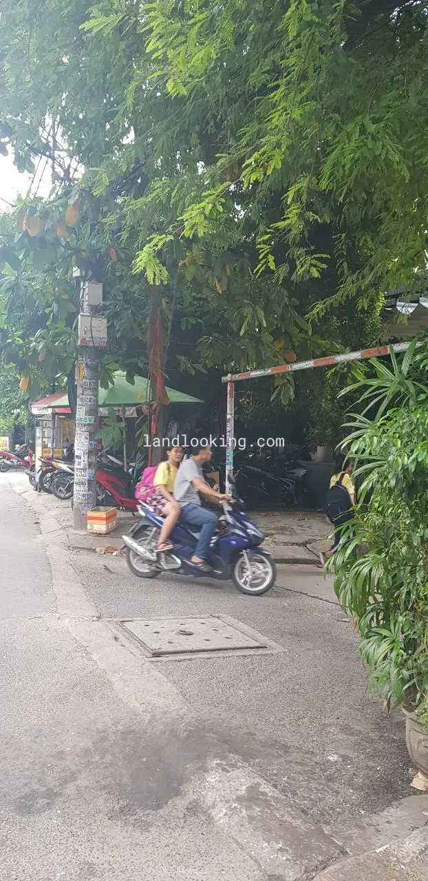 440/49 - Thống Nhất, Phường 16, Quận Gò Vấp - ảnh 0