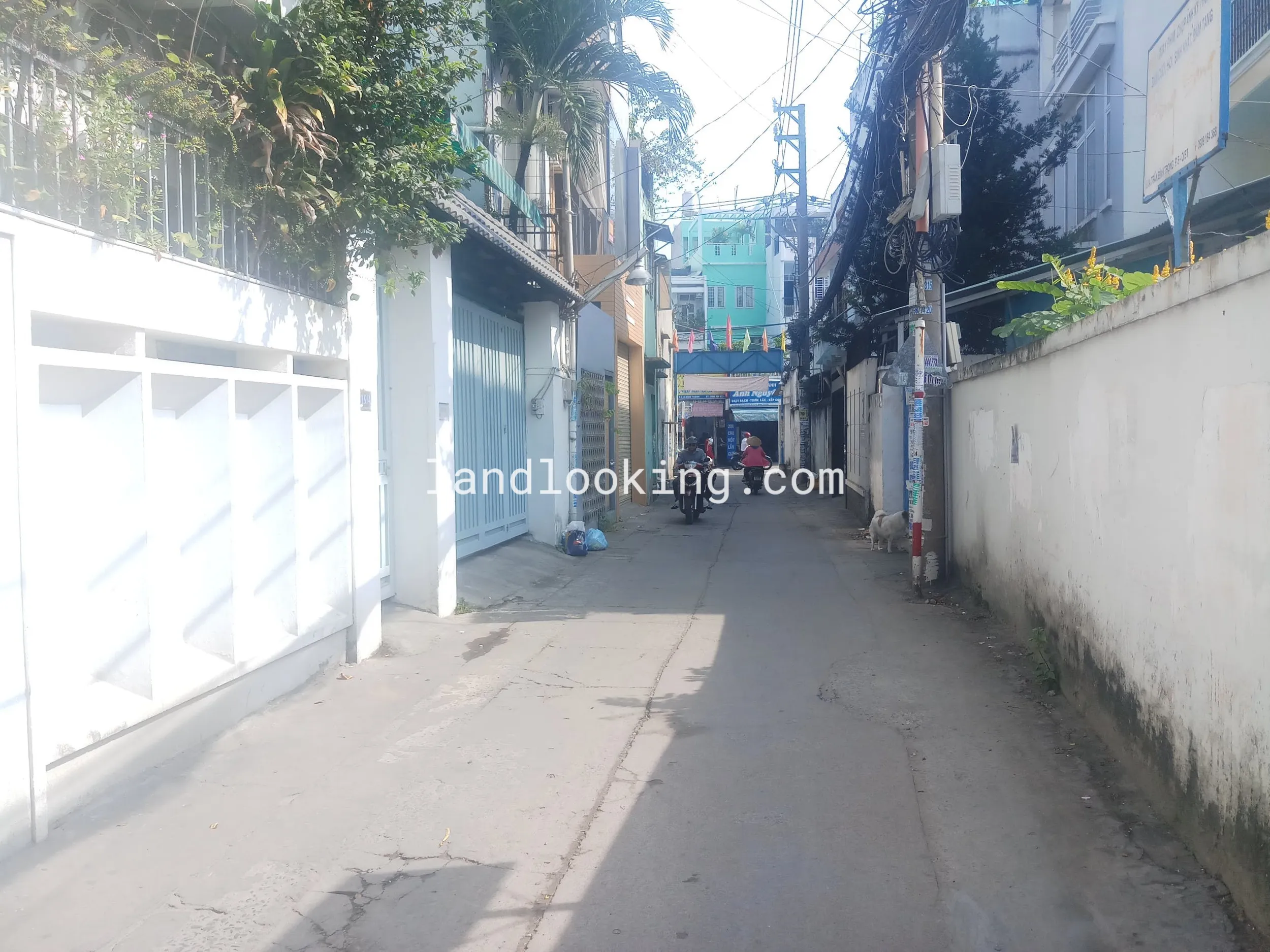 19/1 - Trần Bình Trọng, Phường 05, Quận Bình Thạnh - ảnh 0