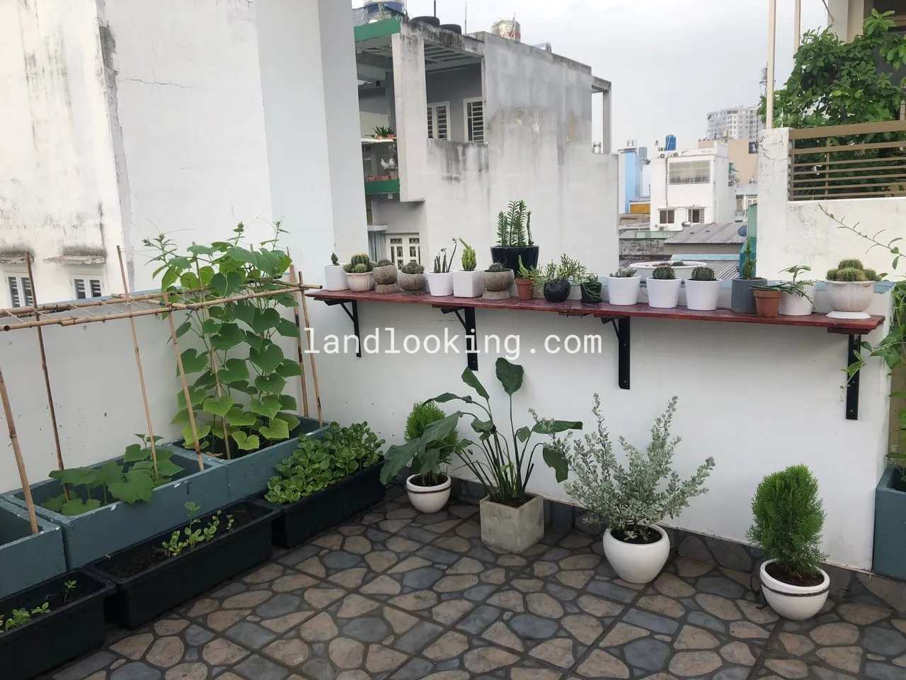 21/6F - Cầm Bá Thước, Phường 07, Quận Phú Nhuận - ảnh 5